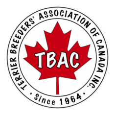 terrierbreederscanada.com